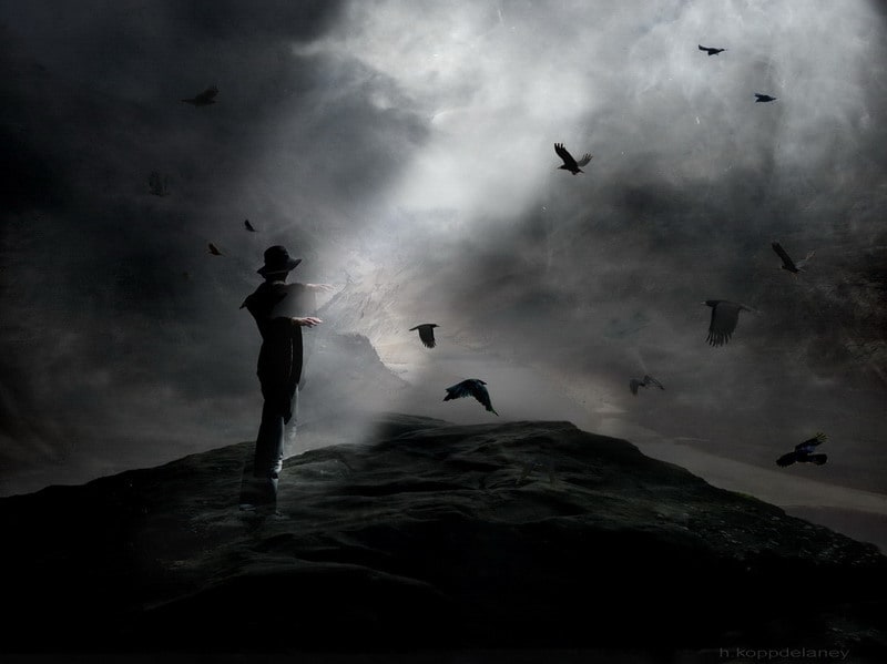 Silhouette of young man in a field of crows at dusk