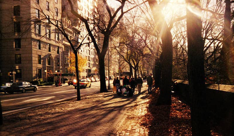 New York City street in autumn - Queens Vision 1983