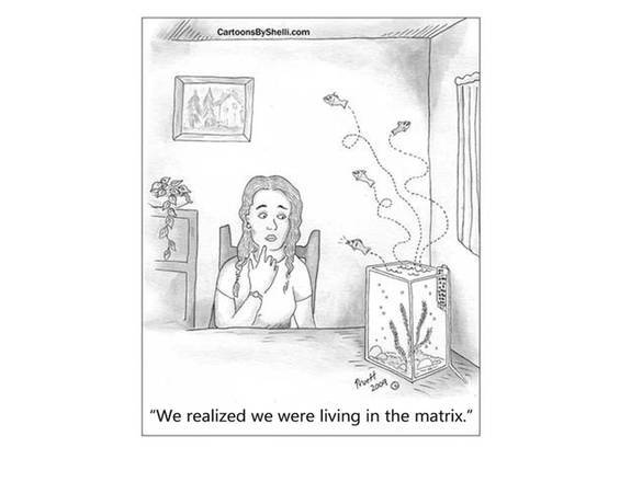 Living in the Matrix 45 small living in