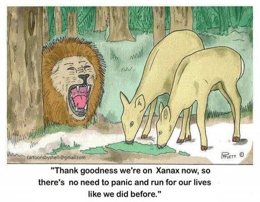 Deer on Xanax 37 cartoon deer xanax small