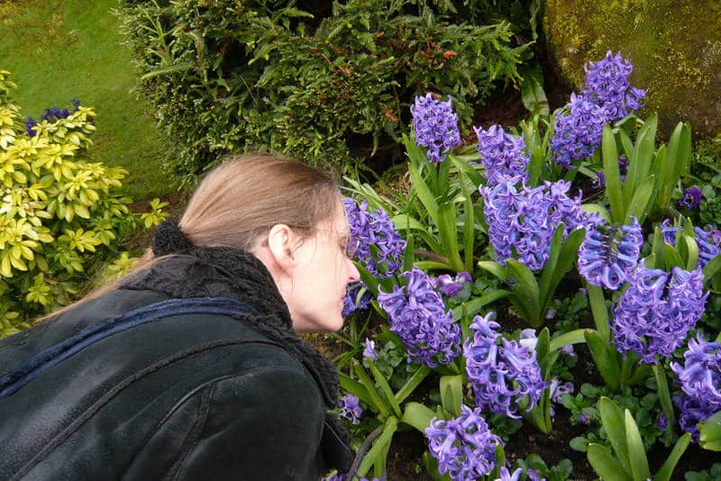 Woman smelling hyacinths - Restoring the light