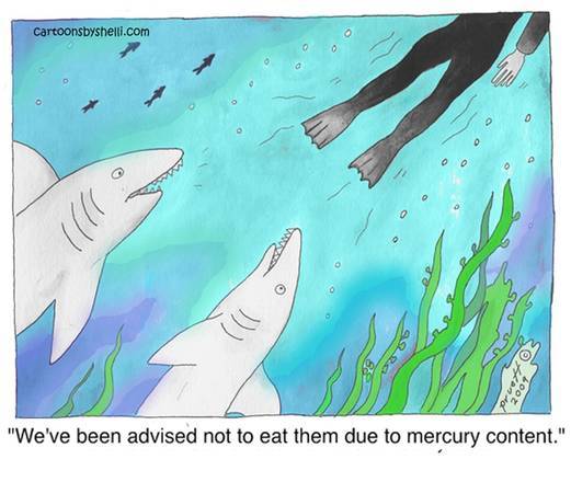 Don't Eat the Humans! 43 Smaller version of sharks cartoon - Don't eat the humans!