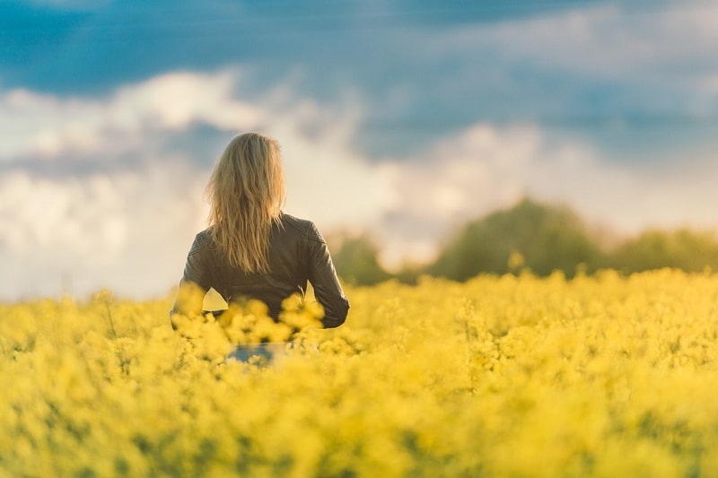 Woman standing in field of yellow flowers looking at trees and sky - Poems by Sherin Shefik