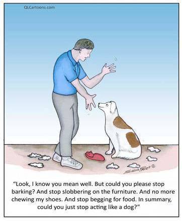 dog cartoon small edited