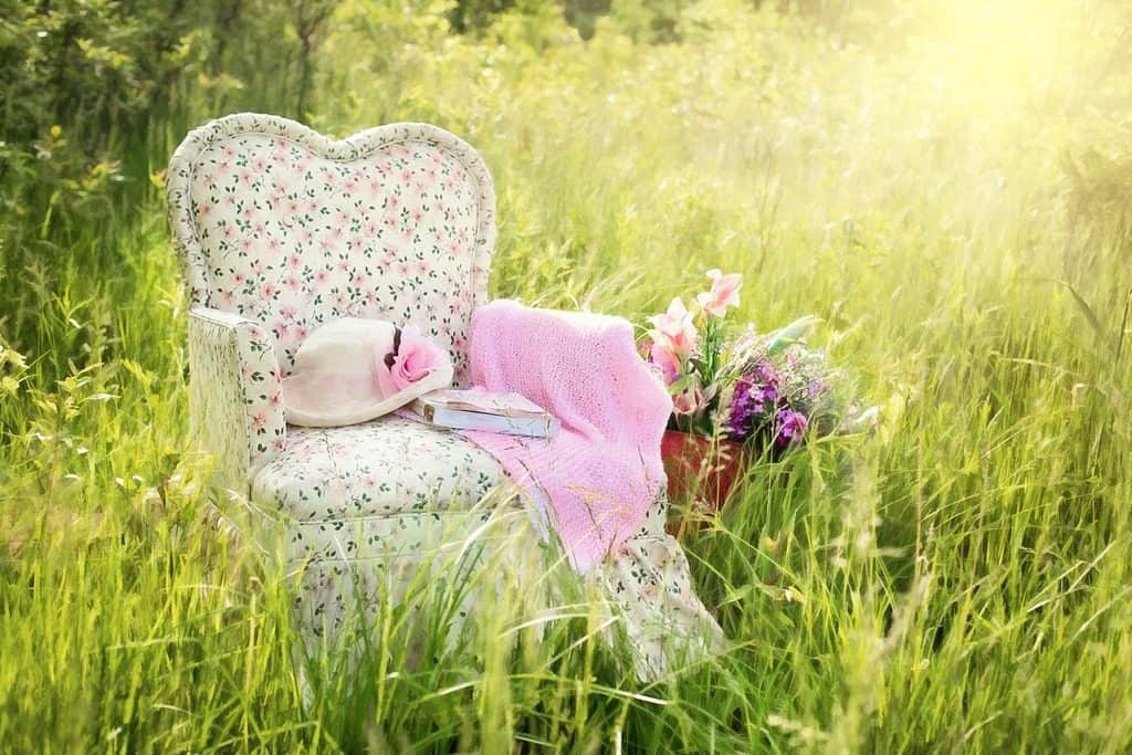 armchair in a field