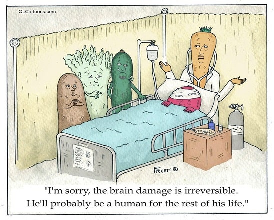 veggie brain damage small