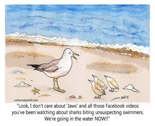 cartoon swimming seagulls small