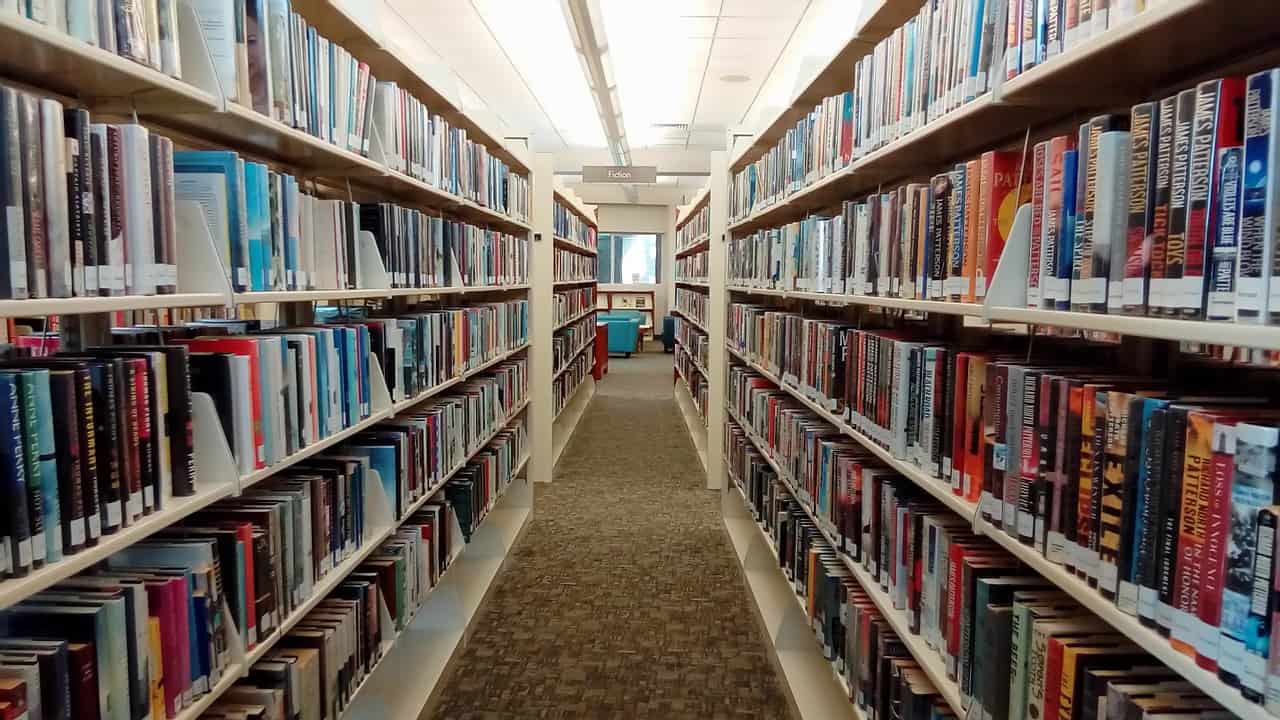 FOUR VERY DIFFERENT BOOKS: The True American, News of the World, Love Warrior, The Idiot [book reviews]