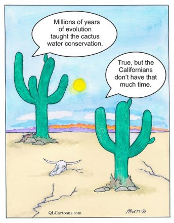 Water Conservation Problems