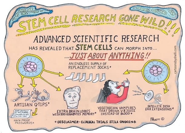 Stem Cell Research Gone Wild!!! 51 stem cell research smaller