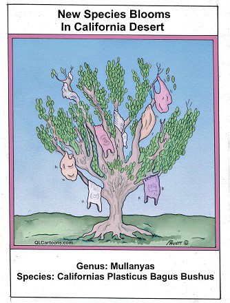 Californias Plasticus Bagus Bushus 31 plastic bag altered small