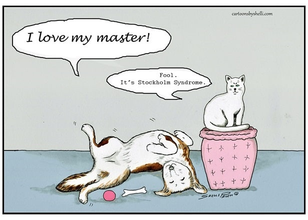 cartoon cat dog small