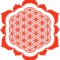 flower of life mandala