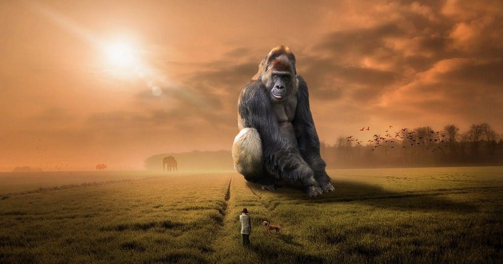 man and dog walking in field with giant gorilla