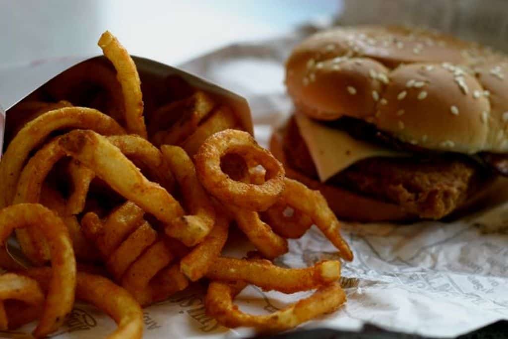 MAKING FAT: How today's living environment contributes to a culture of overeating 13 Onion rings and burger - Making fat