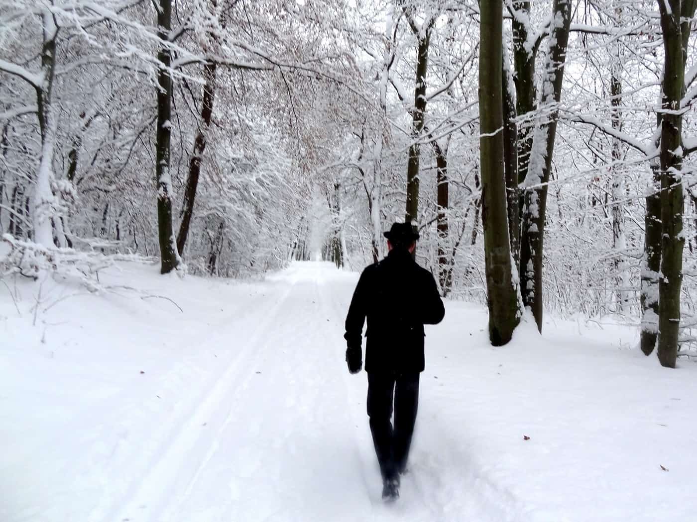 Man walking in snow - Poems by John Grey