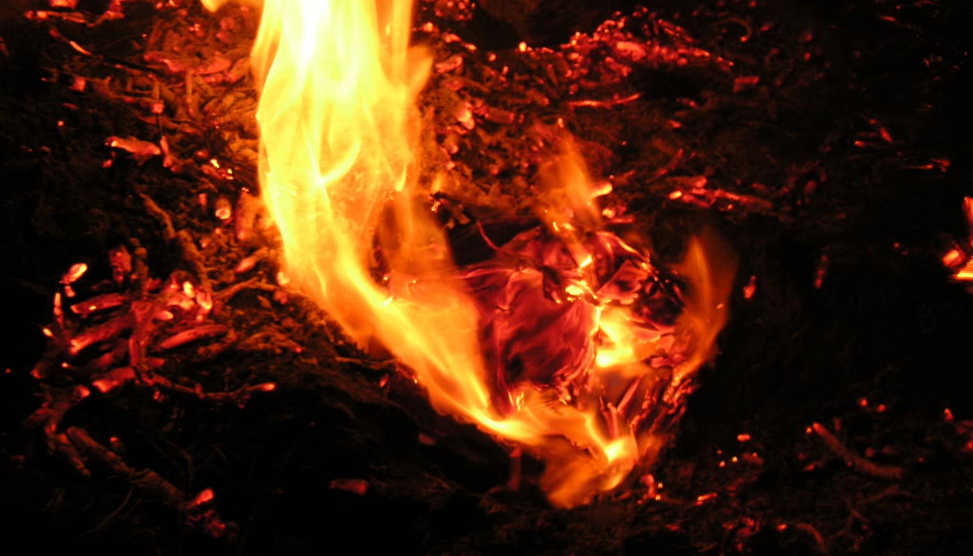BURNING BOOKS Social Networks are more destructive than any bonfire