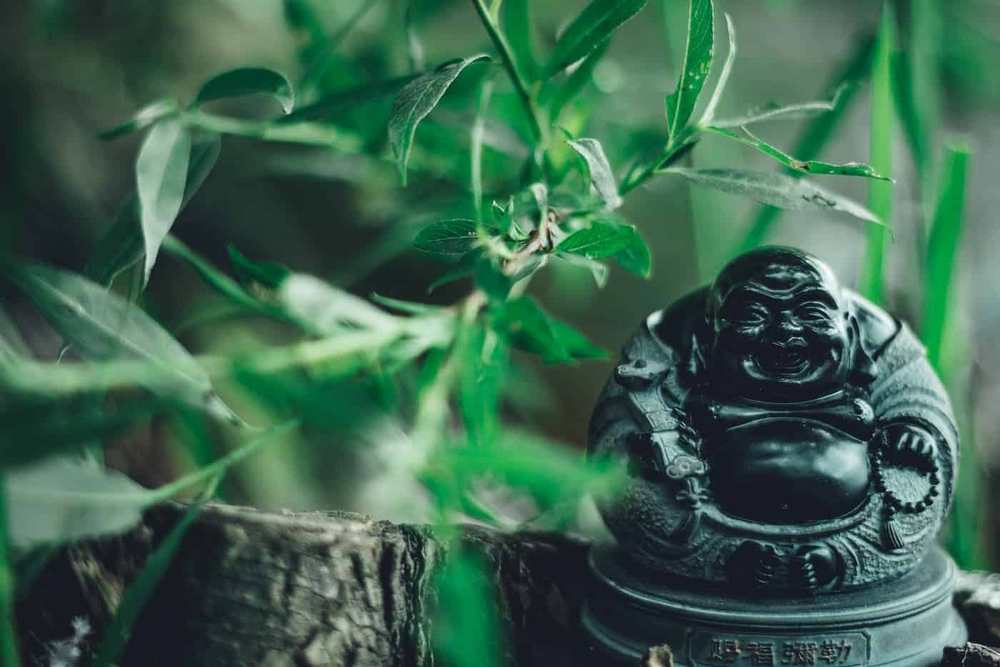 CO CREATING WITH THE SOUL Magic happens when we release limiting beliefs1