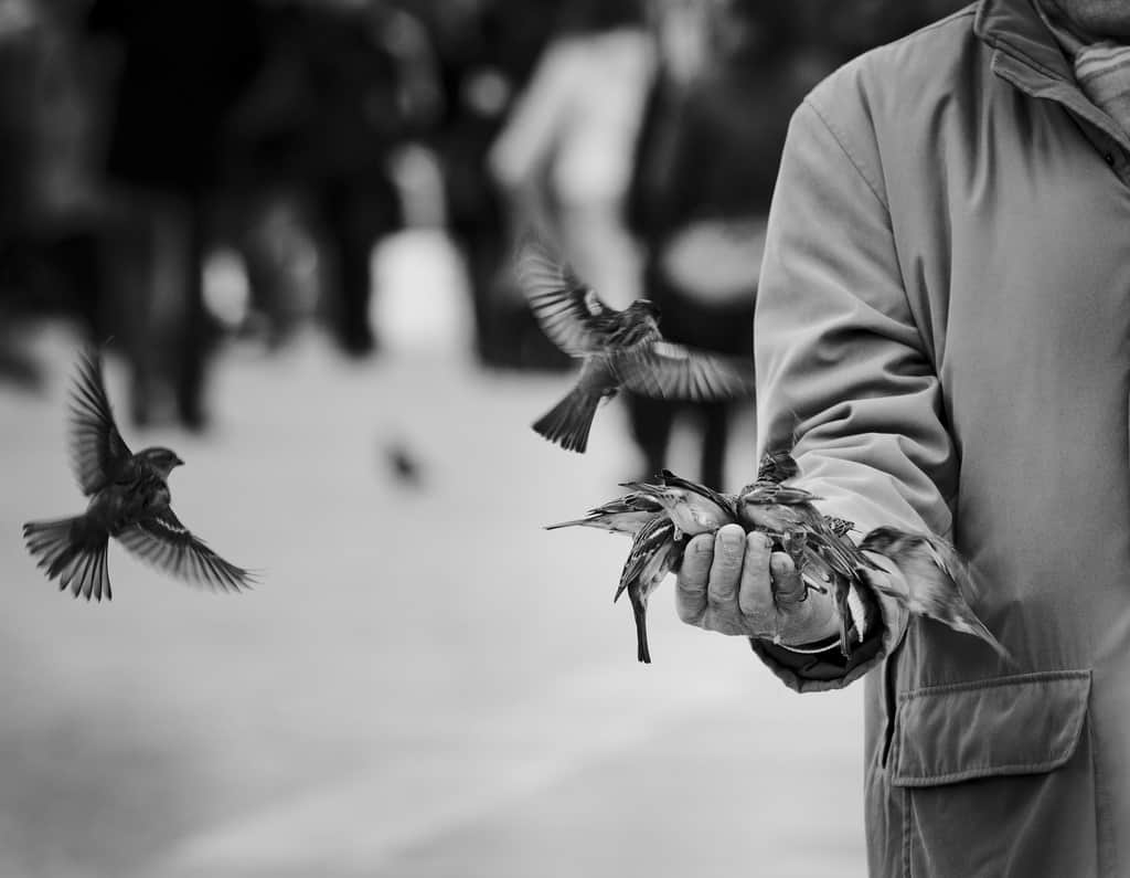 TIS THE SEASON Civilian warriors who give by fighting at home for Veterans2