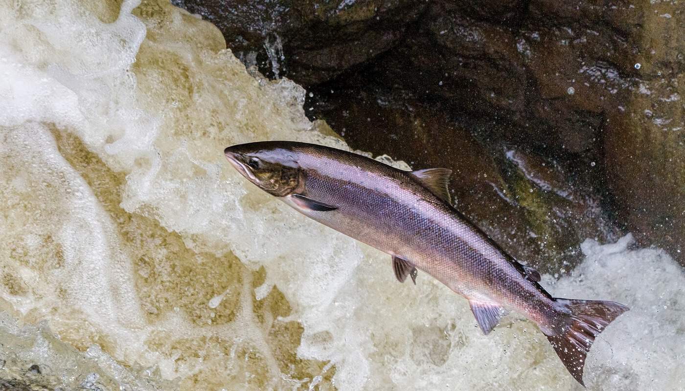 SYNCHRONICITY A nod from the universe that we are on the right path1