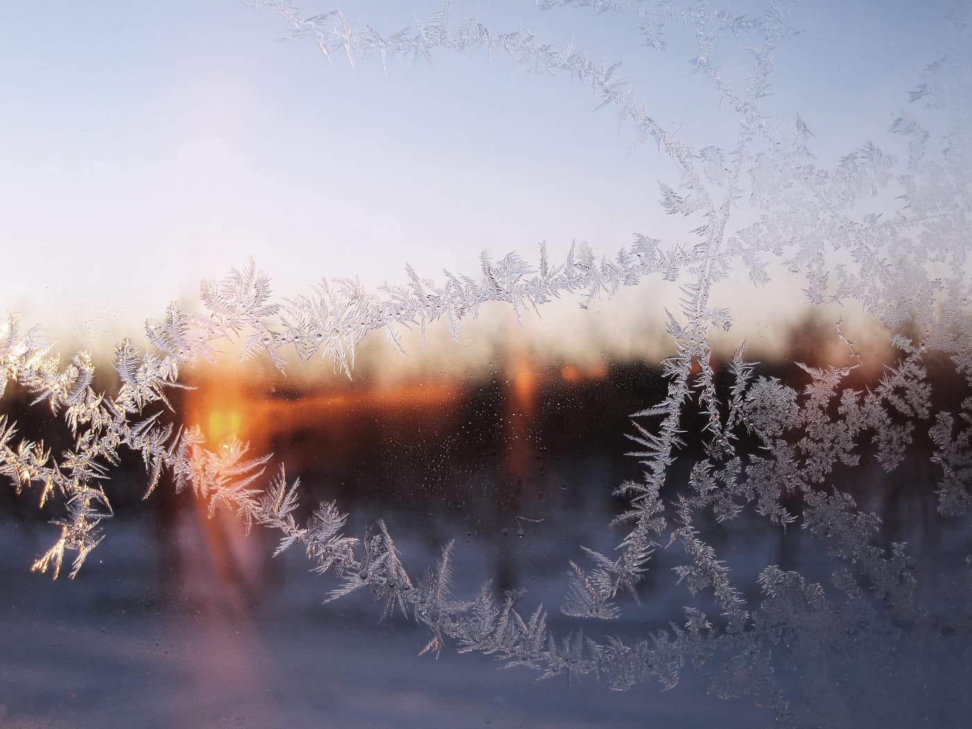 Window with frost looks out onto snow - Poems by John Grey