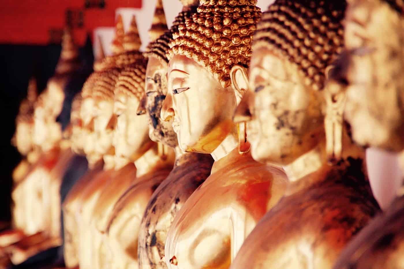 MEDITATE ON YOUR PAIN: Our pain's connection with the Buddha's 4 Noble Truths 45 Line of gold Buddha statues - Meditate on your pain