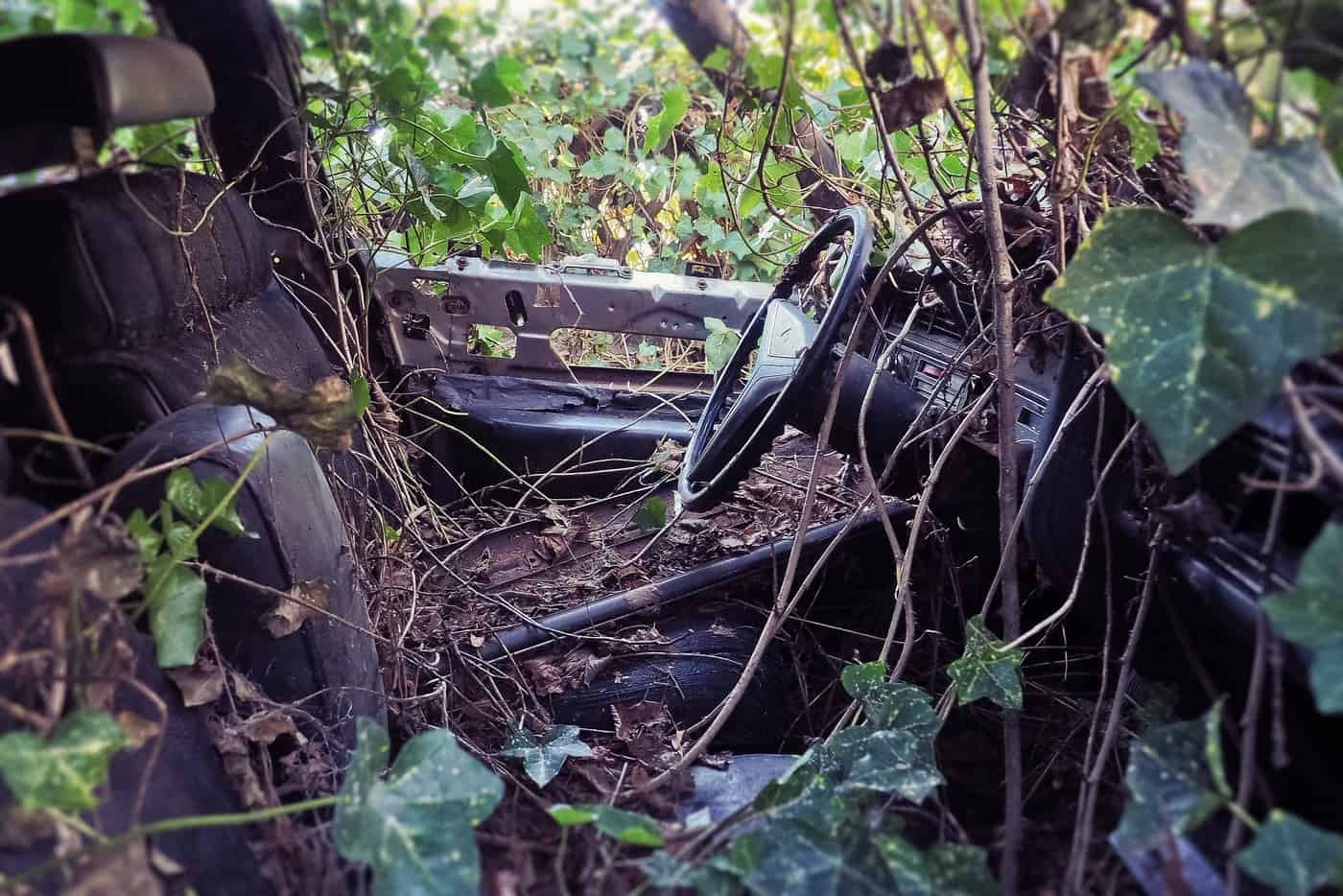 HEADLIGHTS AND HINDSIGHT Memories on four wheels1