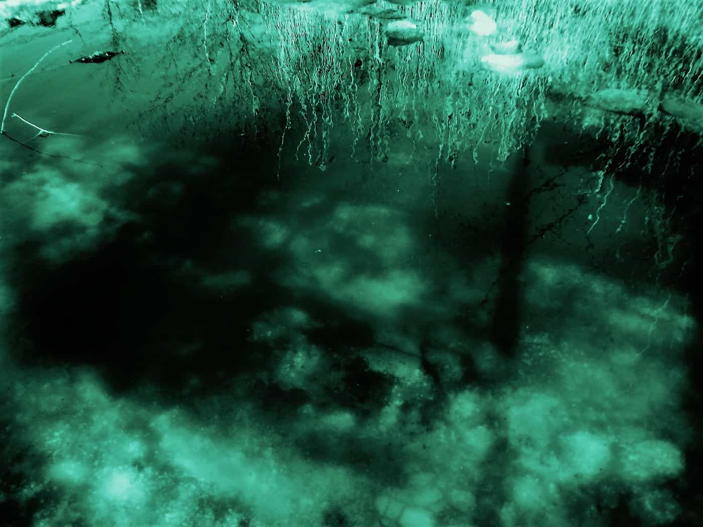 POEMS BY GEORGE PAYNE: The Name of God Is Not a Word, Tuesday Evening Tango and more 13 Abstract green photo - Poems by George Payne