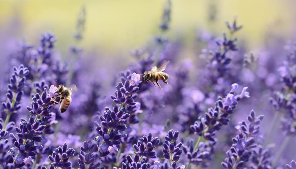 LIVE A SLOW LIFE: It’s OK to slow down in a fast-paced world 13 LIVE A SLOW LIFE It’s okay to slow down in a fast paced world1