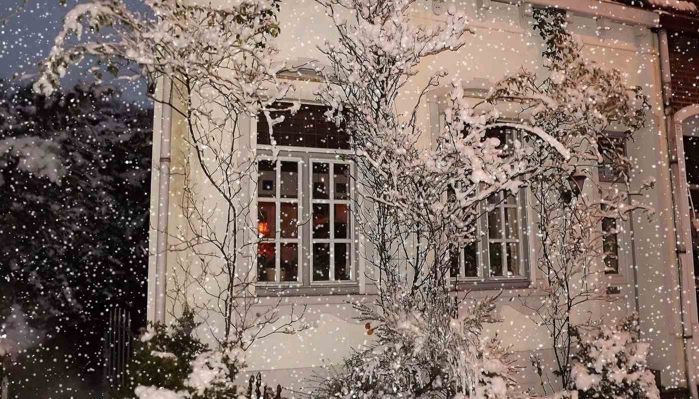 House covered in snow