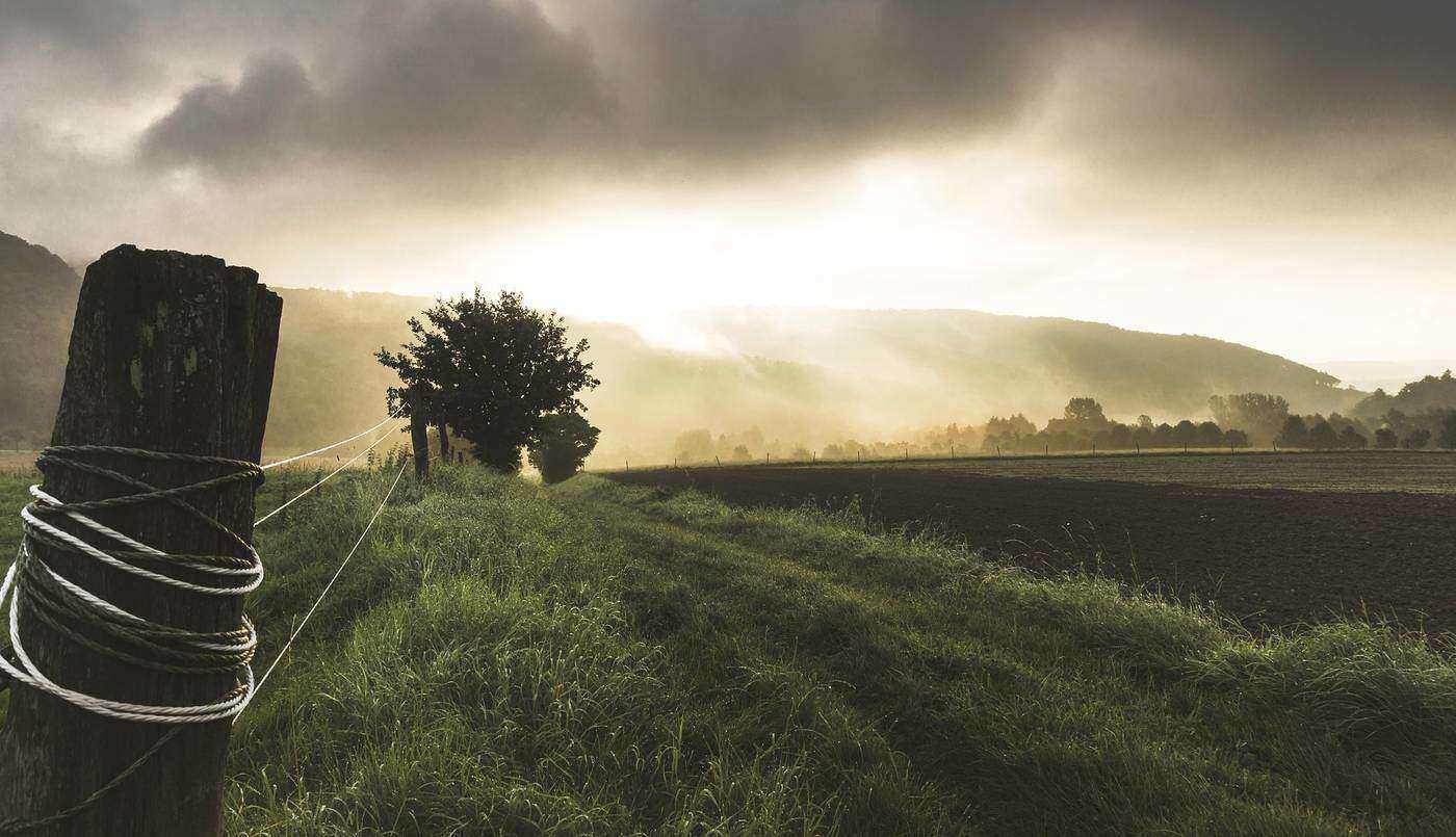 Farmer's field and fence