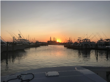 Sun setting over harbour