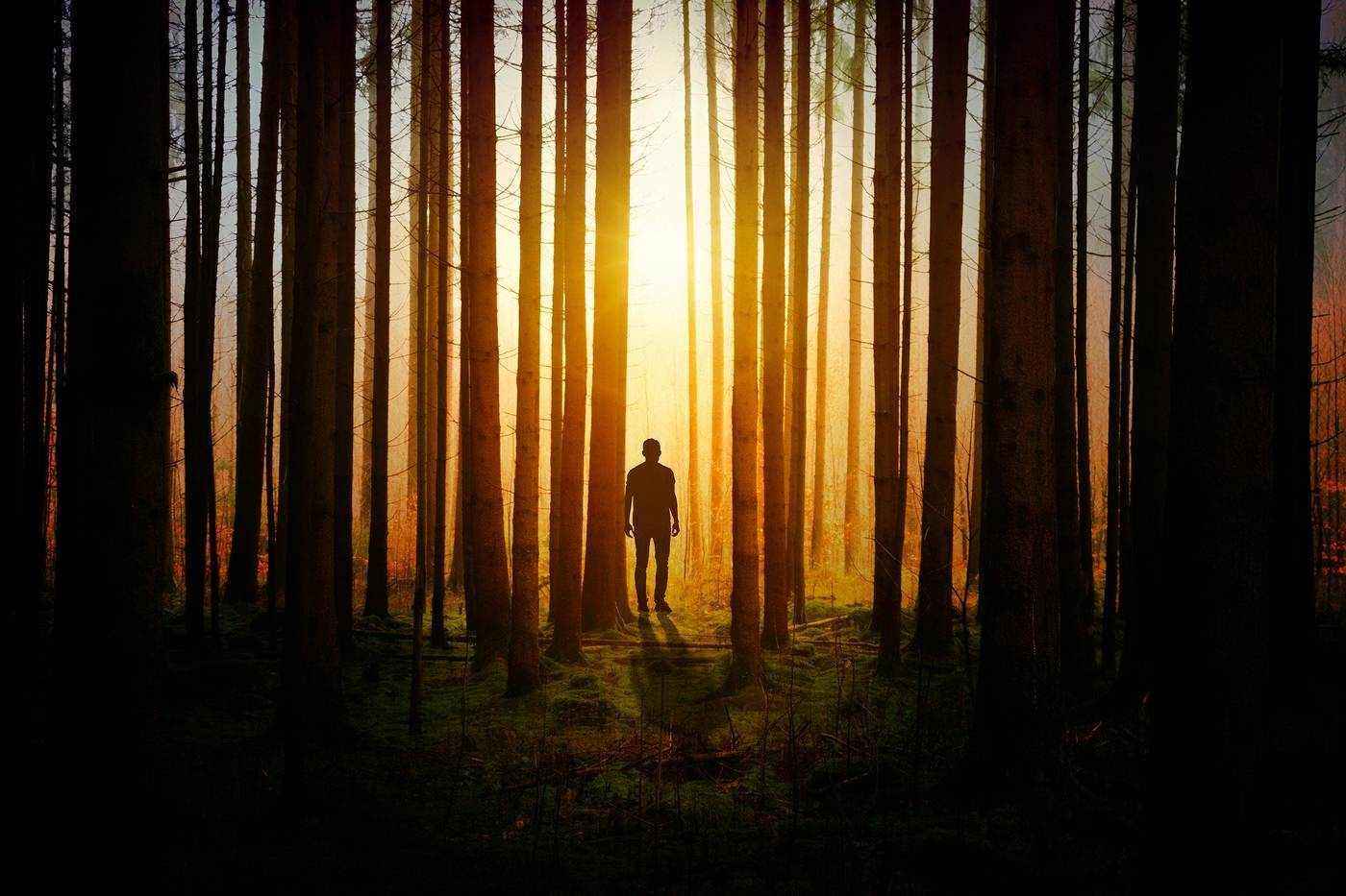 Man walking through dark forest illuminated by sun