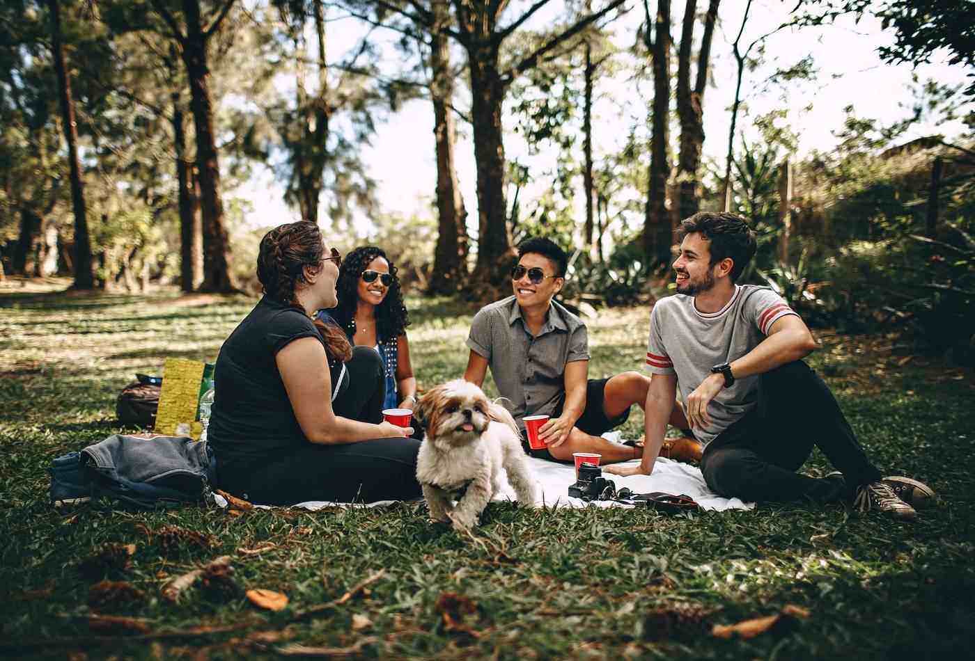 Four young adults sitting on grass with small dog