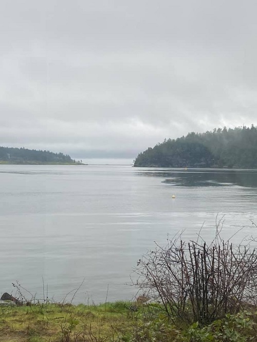 I'VE COME BACK FROM AWAY: An amazing trip to Vancouver, B.C. 14 Water in Nanaimo, British Columbia