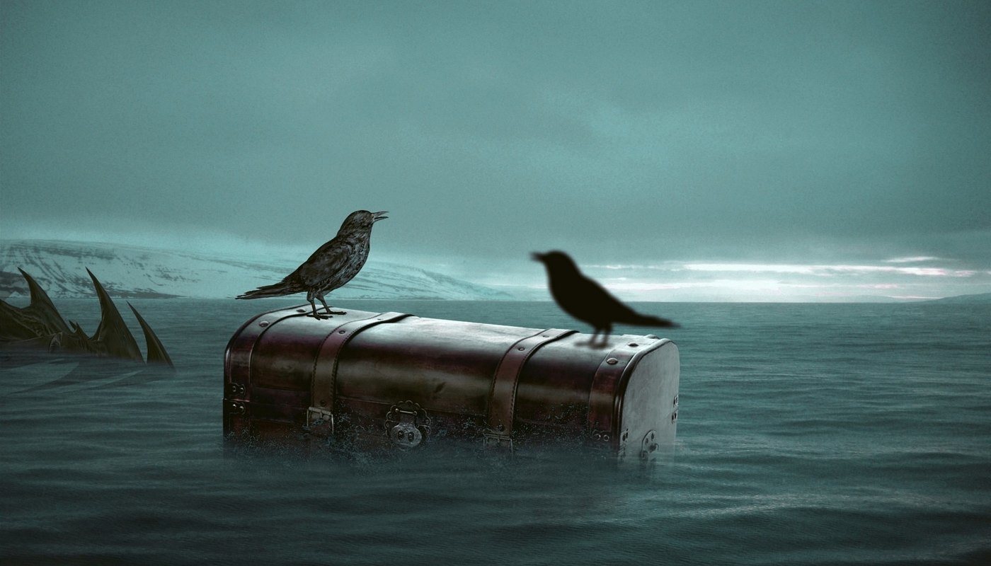 crow and its shadow on a trunk in the ocean