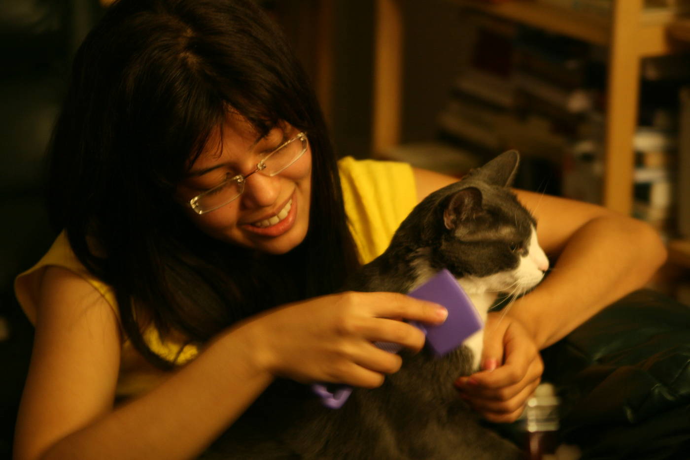Young woman brushing cat