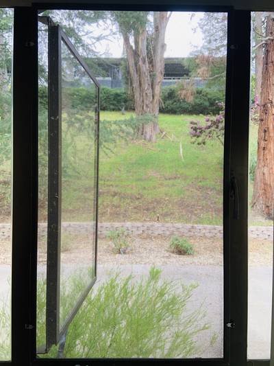 View of yard outside window