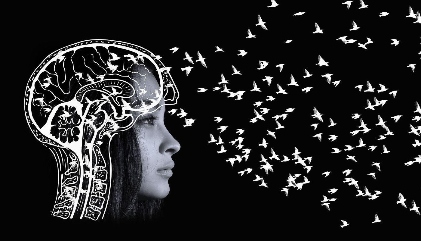 head with graphic of birds flying out