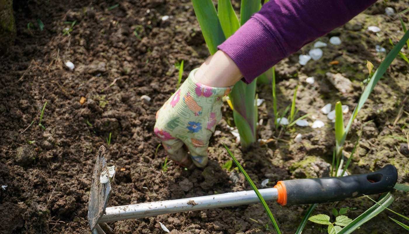 woman working in garden