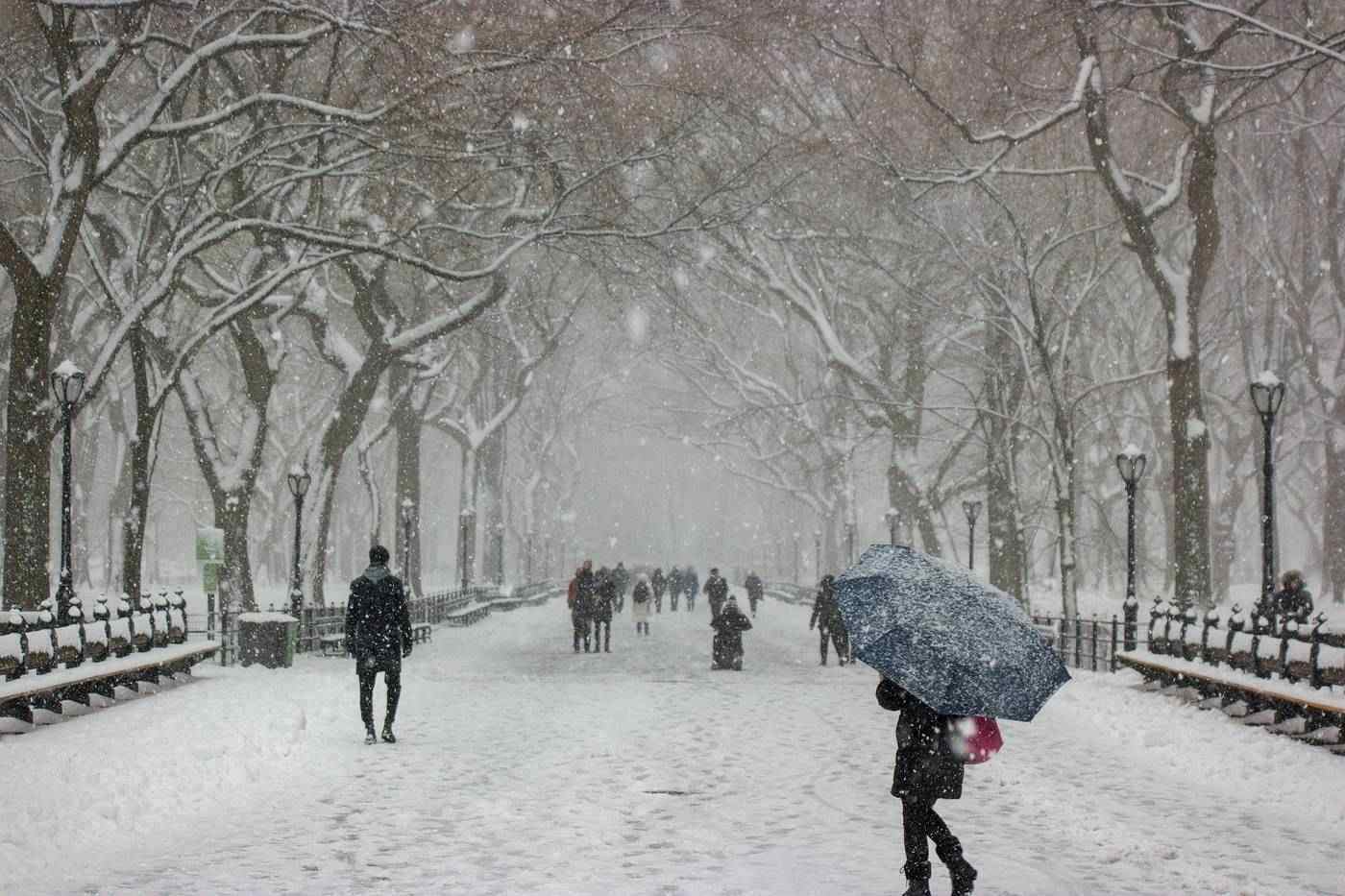 People walking through park in winter