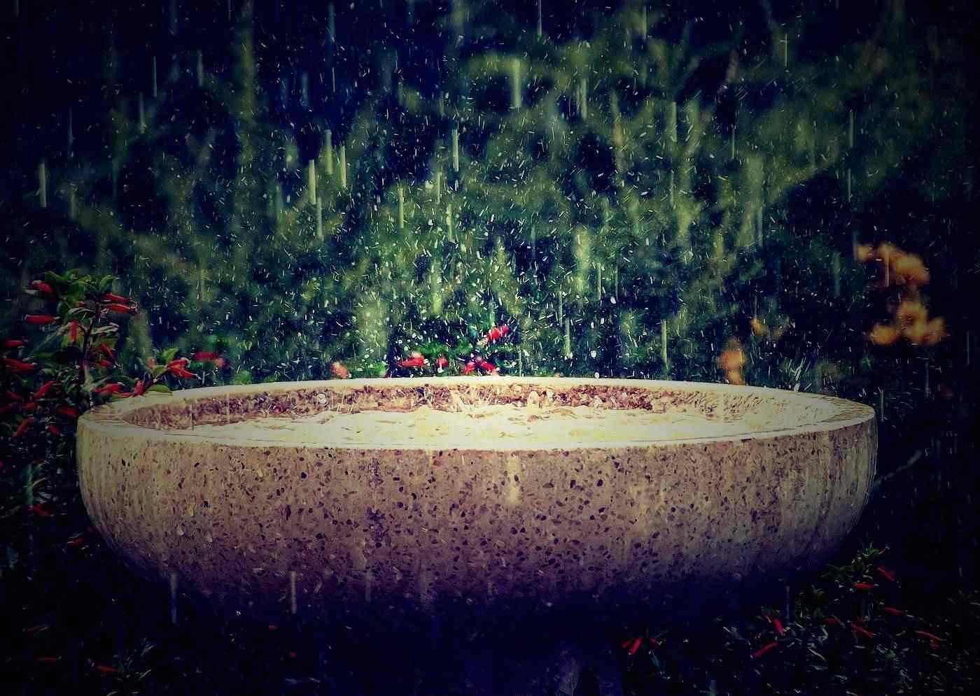 POEMS BY JOHN GREY: When the Bird-Woman Is Away and more 13 Stone birdbath in the rain