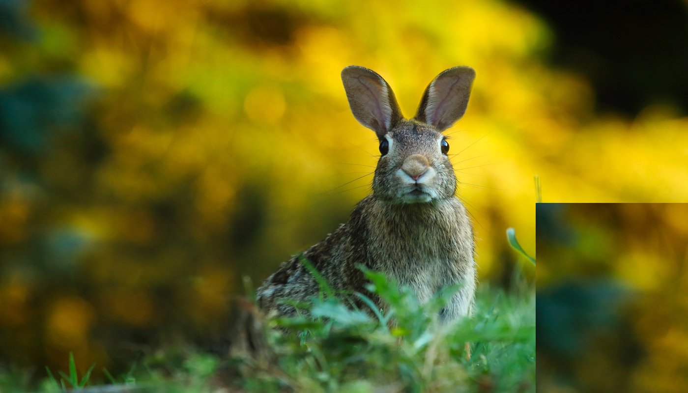 SENSITIVE SOULS: What to do when anxiety hits 14 SENSITIVE SOULS What to do when anxiety hits