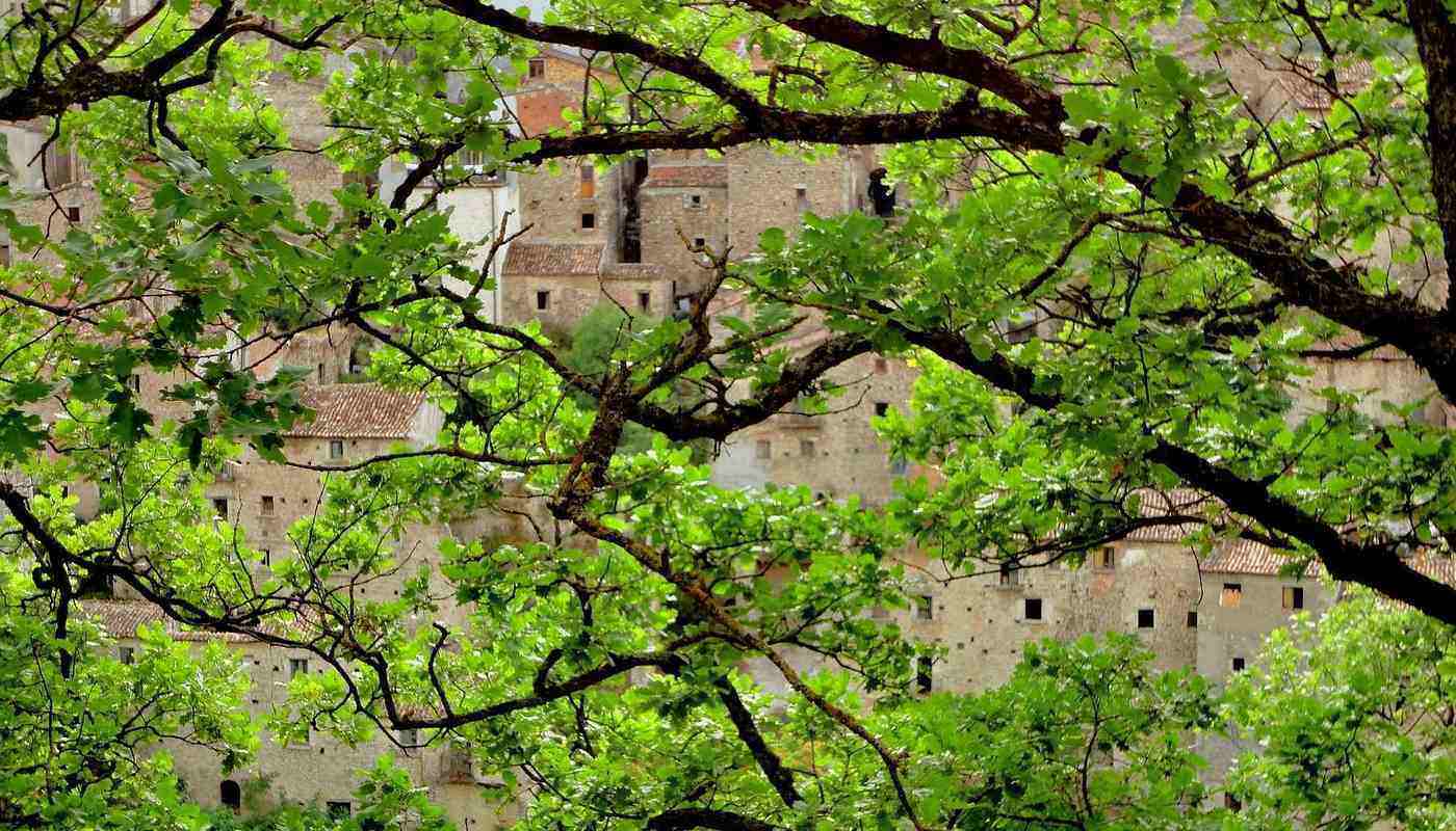 GIVE ME SILENCE OR GIVE ME DEATH The Hermit Peter of Morrone2