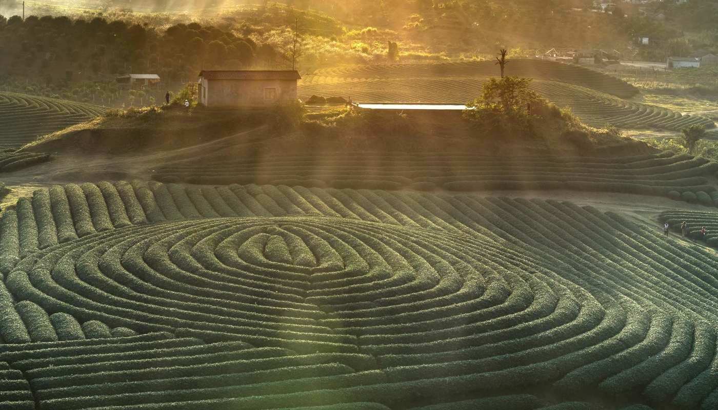 SELF DESTRUCT How grief led to self awareness1