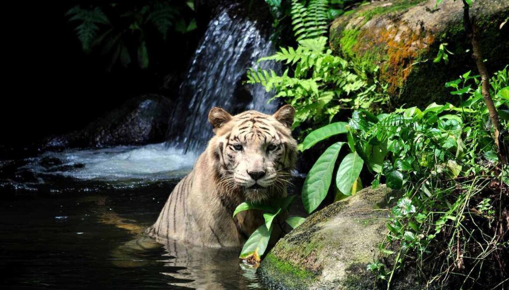 TO BE AND TO LOVE – A remarkable and inspiring time to be alive2