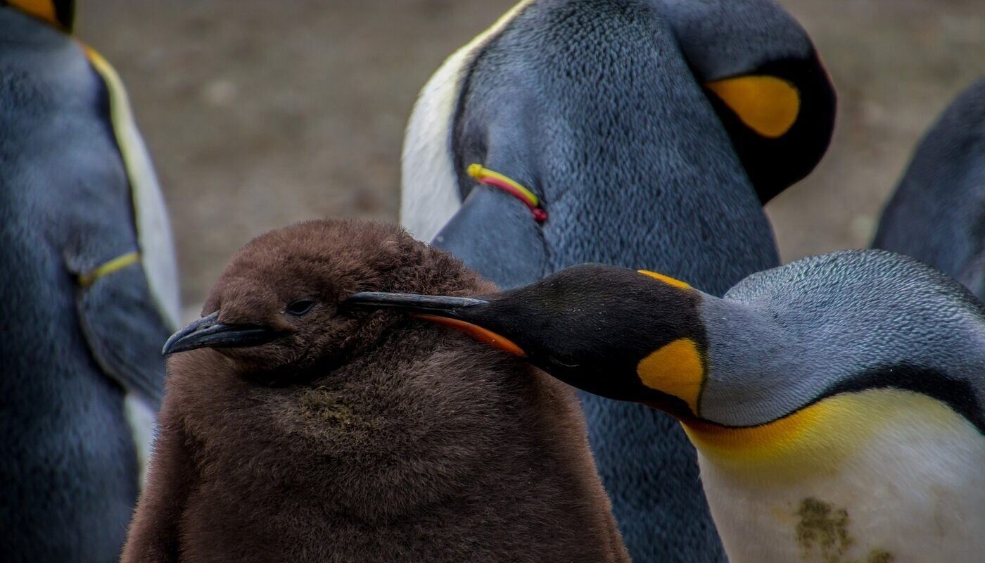 I LOST MY SUPPORT SYSTEM Losing both parents before age 30 and how to deal with it1