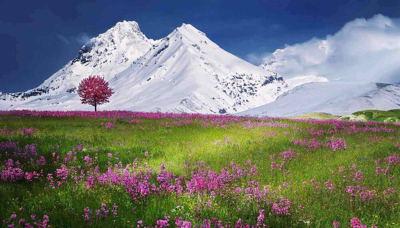 IN THE FACE OF CHANGE Five primary reasons for peoples resistance