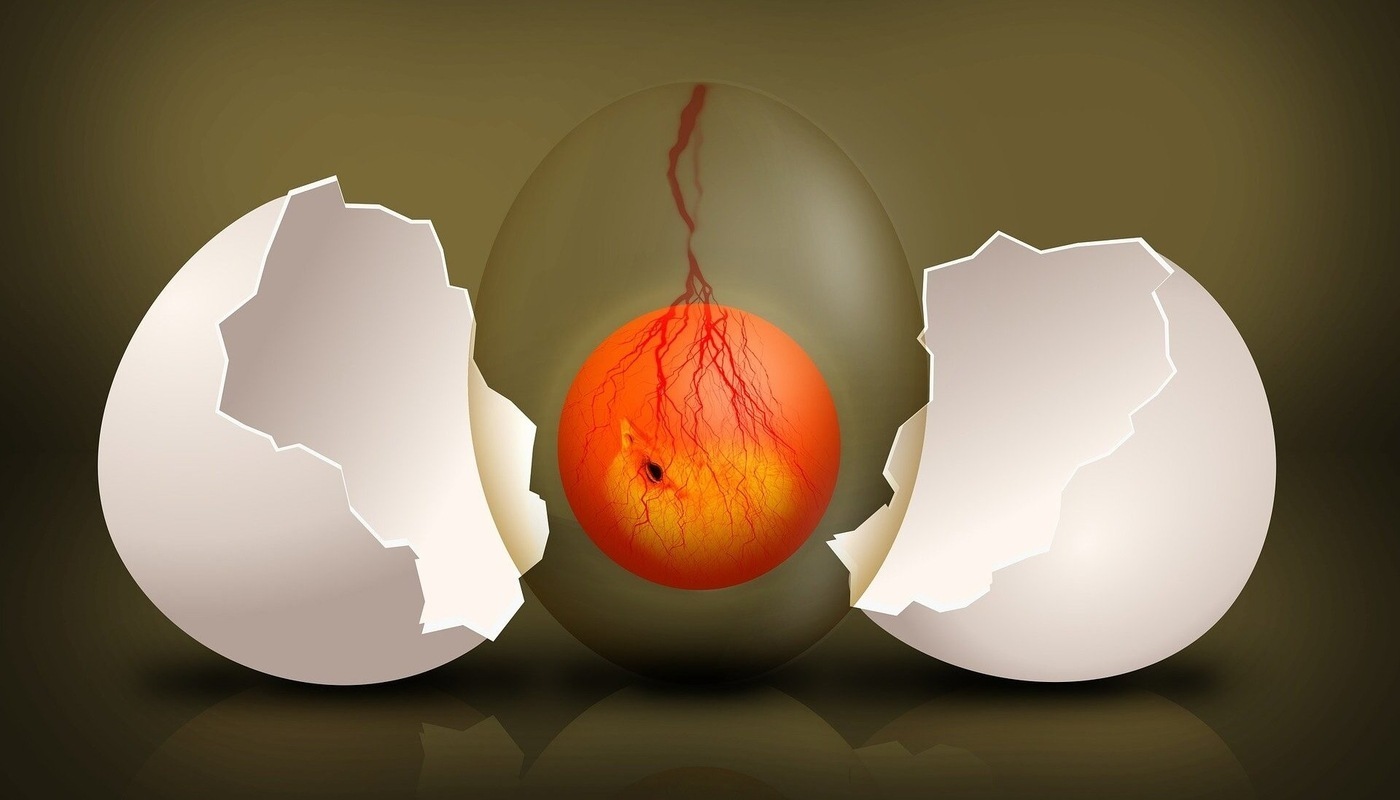 THE POWER OF PERSPECTIVE DURING COVID 19 Coping with change and achieving your goals1