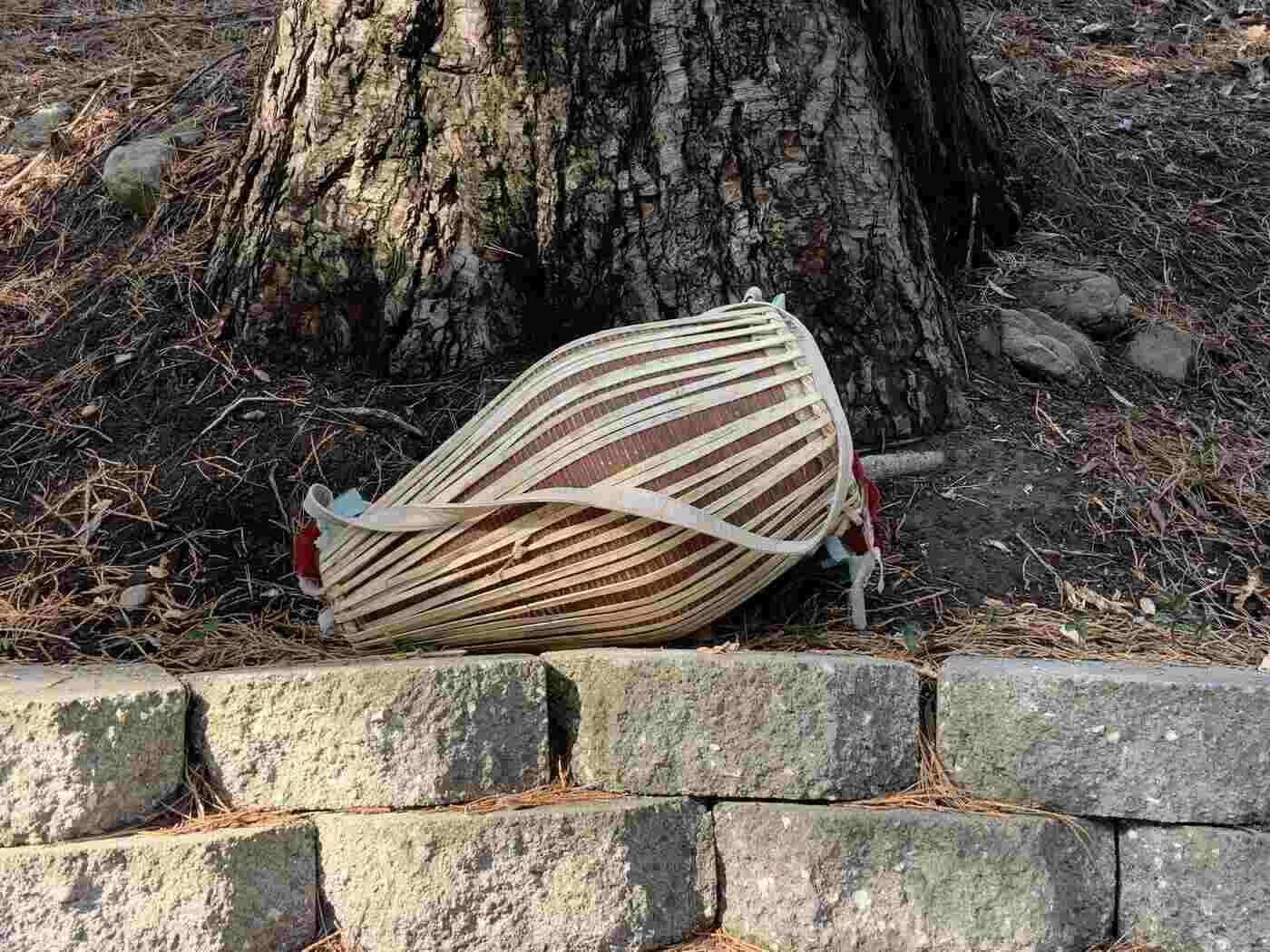 Drum outdoors beside tree